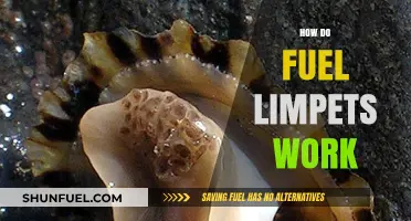 Understanding Fuel Limpets: How They Work and Why They Matter