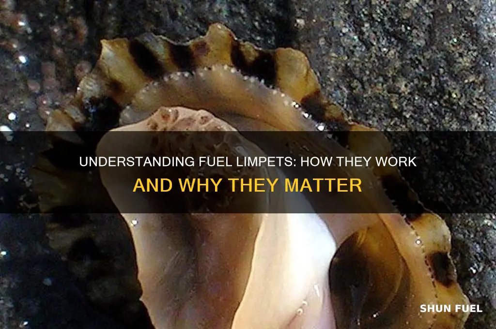 how do fuel limpets work