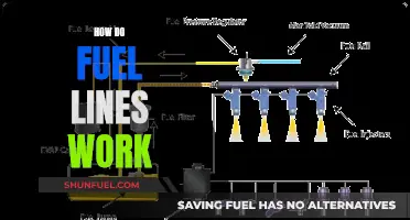 Fuel Lines: Understanding the Basics of Their Functionality