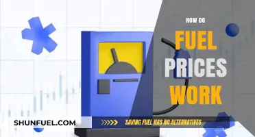 Understanding Fuel Prices: Factors, Fluctuations, and Global Impact Explained