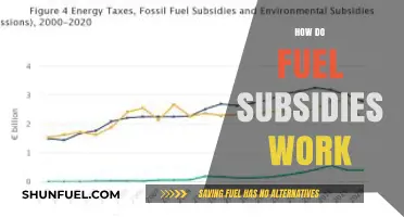 Understanding Fuel Subsidies: How Governments Influence Energy Costs