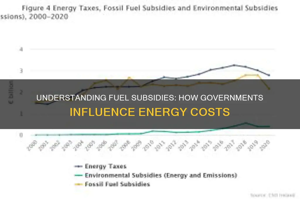 how do fuel subsidies work