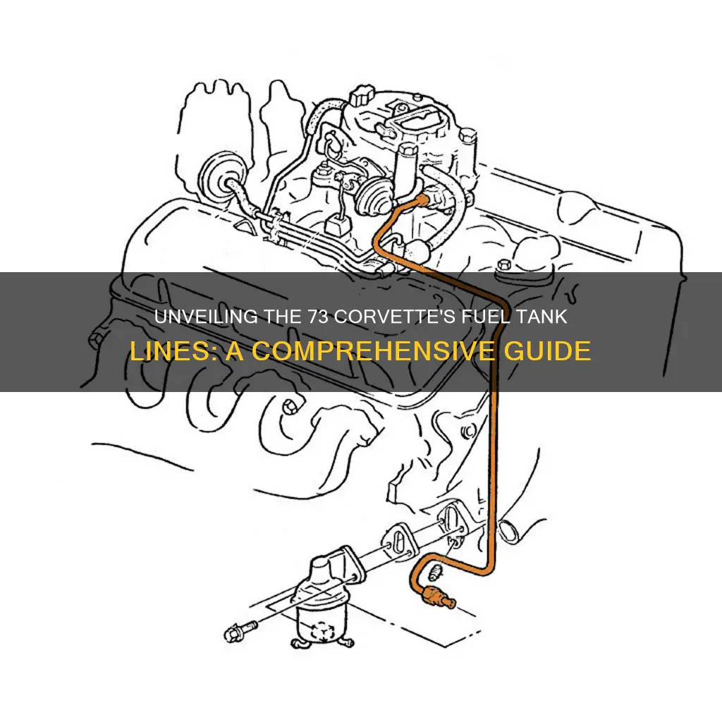 how do fuel tank lines run on 73 corvette