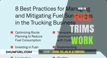 Understanding Fuel Trims: How They Optimize Engine Performance and Efficiency