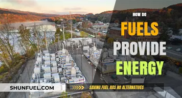 Understanding How Fuels Generate and Supply Energy for Daily Use