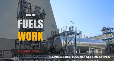 Understanding Fuel Combustion: How Energy Powers Our World