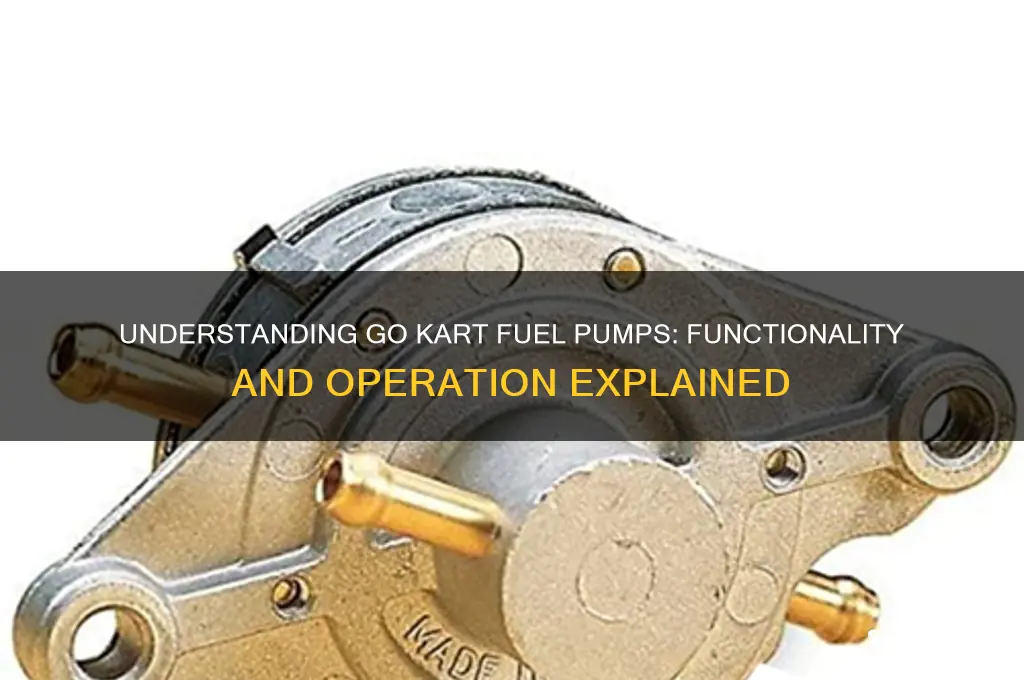 how do go kart fuel pumps work