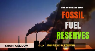 Human Impact: Fossil Fuel Reserves