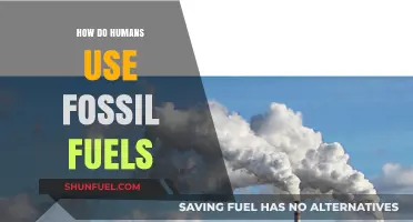 Fossil Fuels: Powering Our World