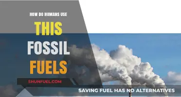 Fossil Fuels: Powering Our World, Pros and Cons