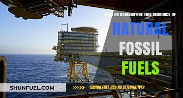 Harnessing Earth's Energy: How Humans Utilize Natural Fossil Fuels