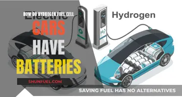 Hydrogen Fuel Cells: Powering the Future of Electric Vehicles