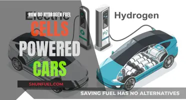 Hydrogen Fuel Cells: Powering the Future of Clean, Efficient Cars