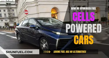 Hydrogen Fuel Cell Cars: Powering the Future