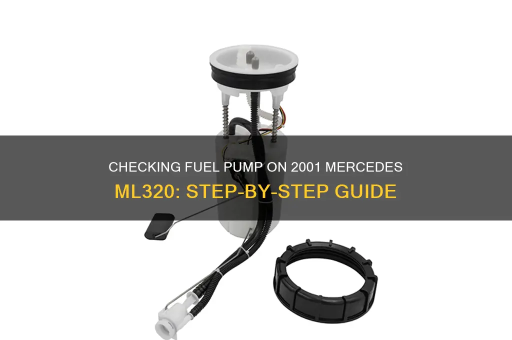 how do i check fuel pump 2001 mercedes ml320