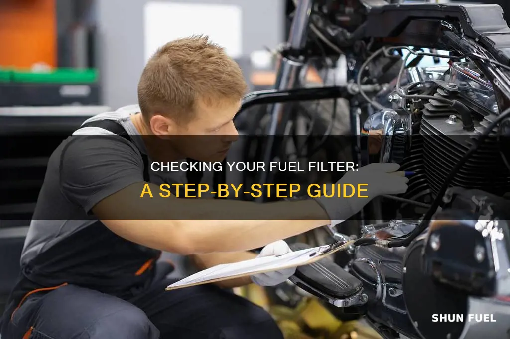 how do i check my fuel filter