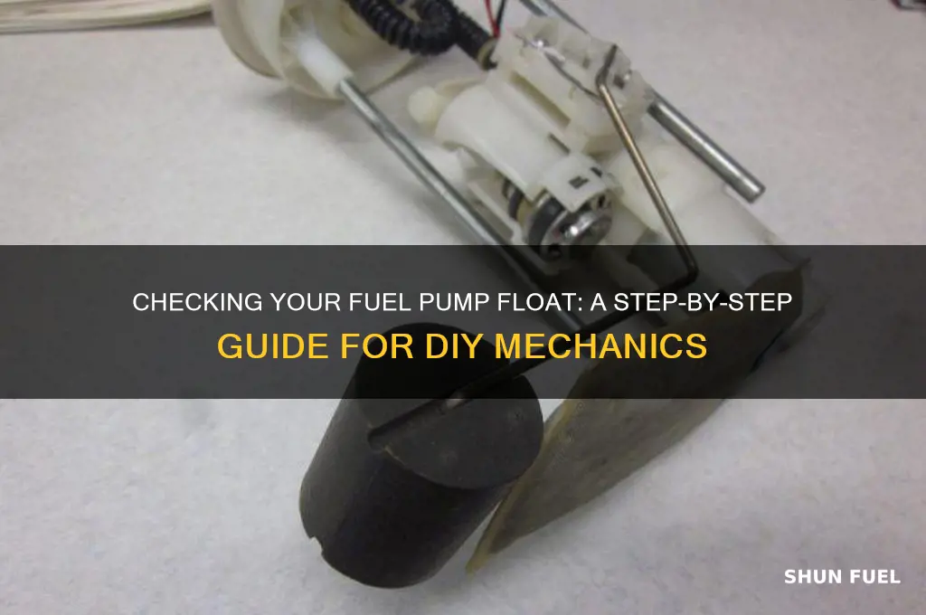 how do i check the float on my fuel pump
