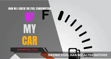 Fuel Efficiency: A Guide to Checking Your Car's Consumption