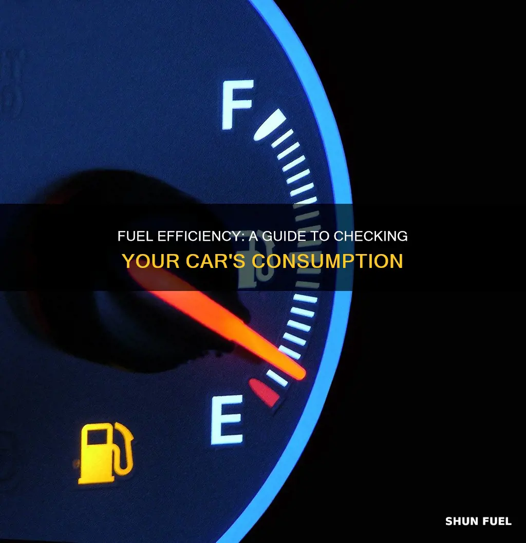 how do i check the fuel consumption of my car