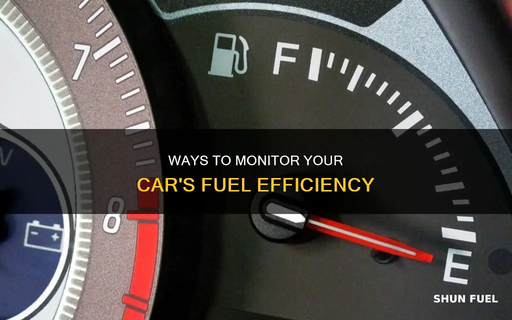 how do i check the fuel consumption of my car