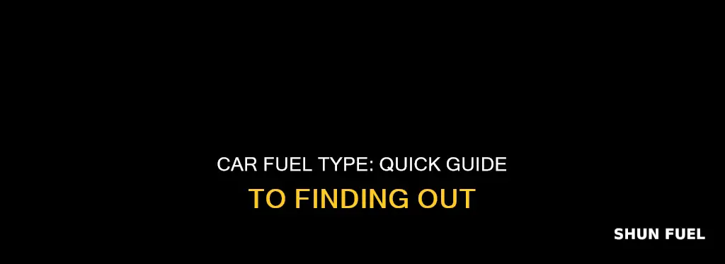 how do i find out what fuel my car takes