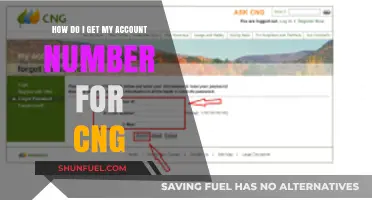 Finding Your CNG Account Number: A Simple Guide