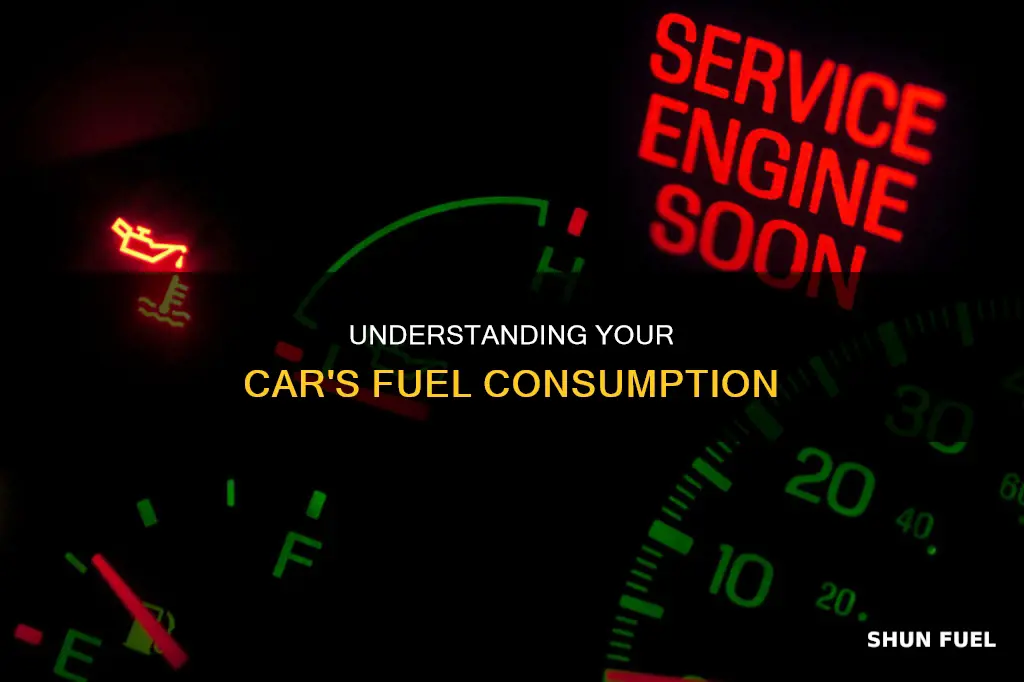 how do i know how much fuel my car takes