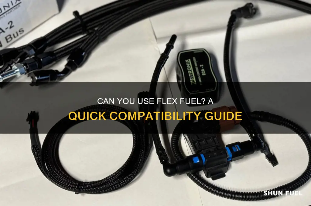 how do i know if i can use flex fuel