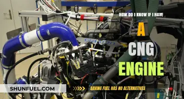 Decoding Your Engine: A Guide to Identifying CNG Vehicles
