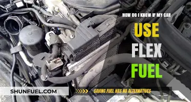 Identifying Flex Fuel Compatibility in Your Vehicle: A Simple Guide