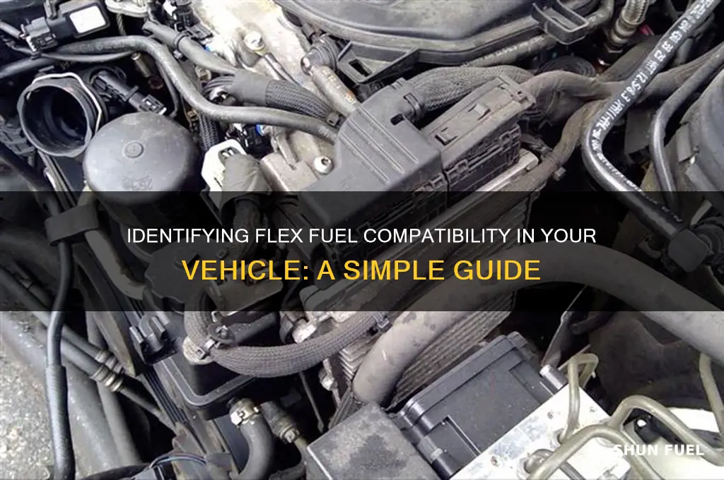 how do i know if my car use flex fuel