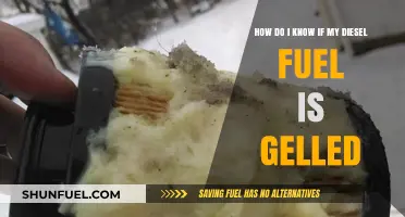 Signs of Gelled Diesel Fuel and What to Do