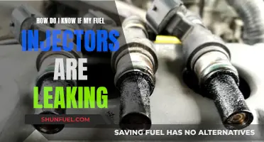 Fuel Injector Leak: What Are the Signs?