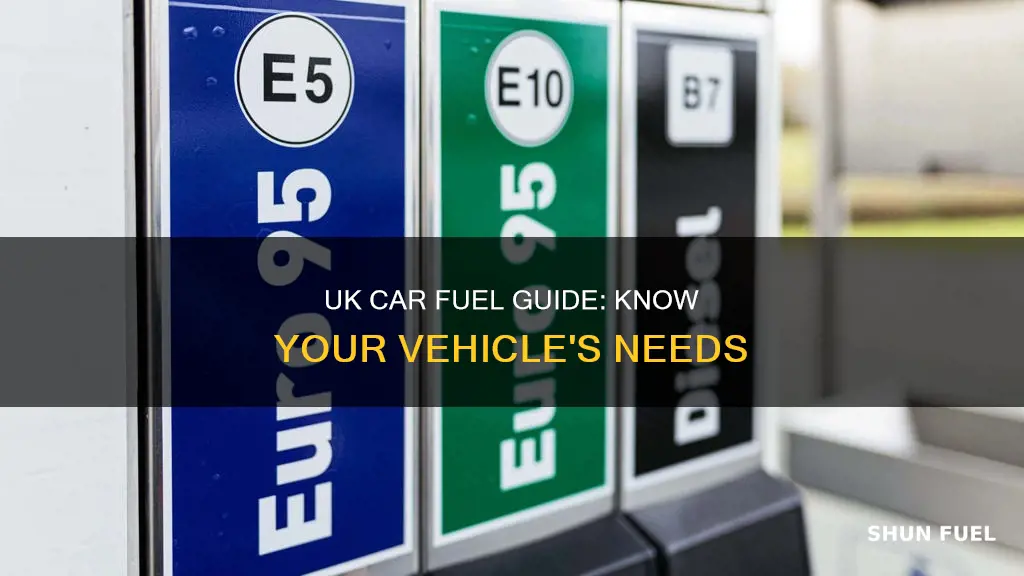 how do i know what fuel my car takes uk