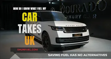 What Fuel Does My Car Need?