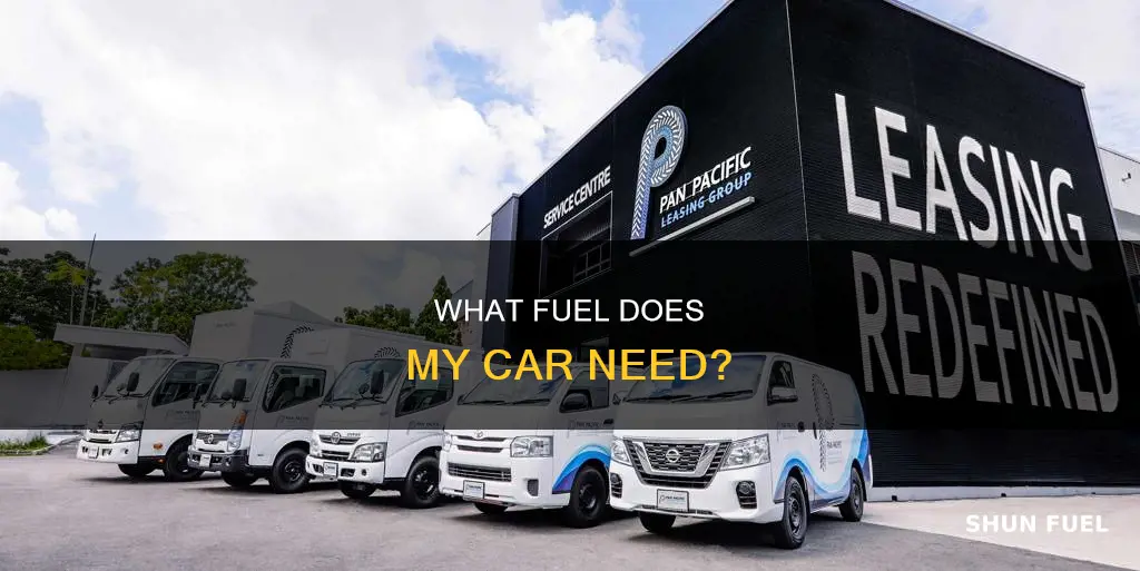how do i know what fuel my car takes uk
