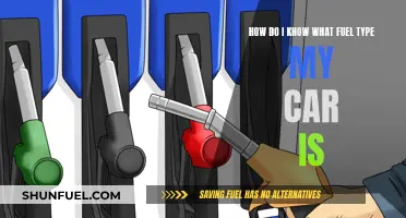 Car Fuel Type: Quick Guide to Knowing What Your Vehicle Needs