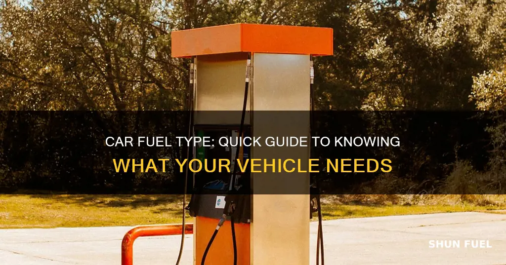 how do i know what fuel type my car is