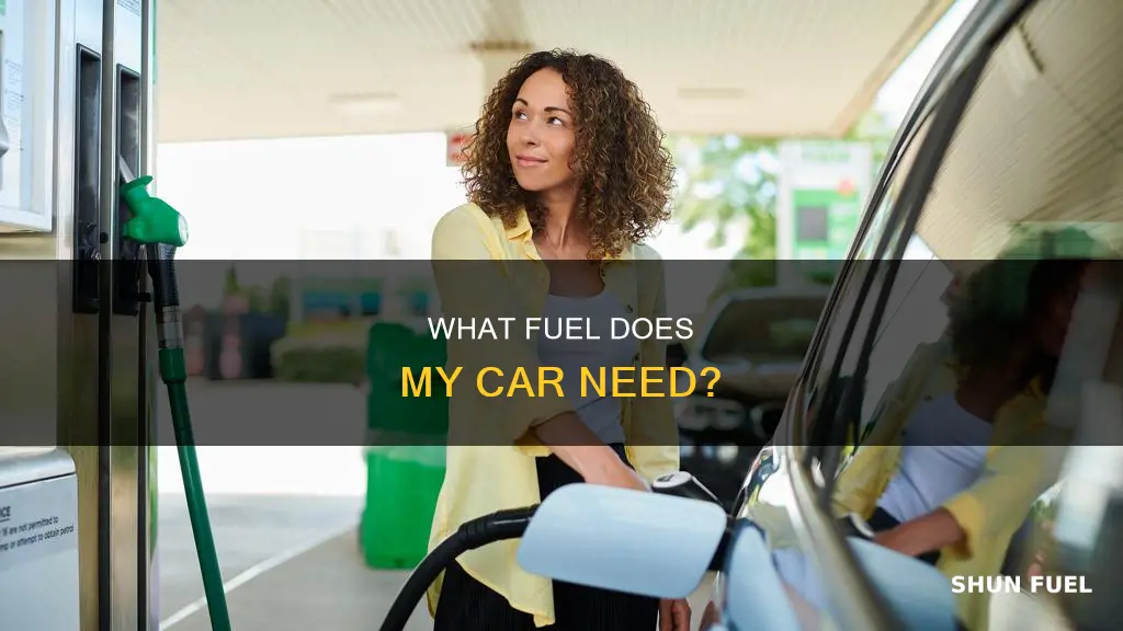 how do i know what fuel type my car is