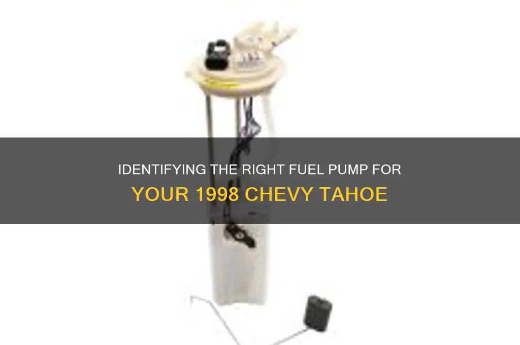 how do i know which fuel pump 98 tahoe