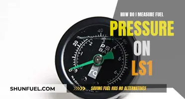 Measuring Fuel Pressure: LS1 Engine Guide