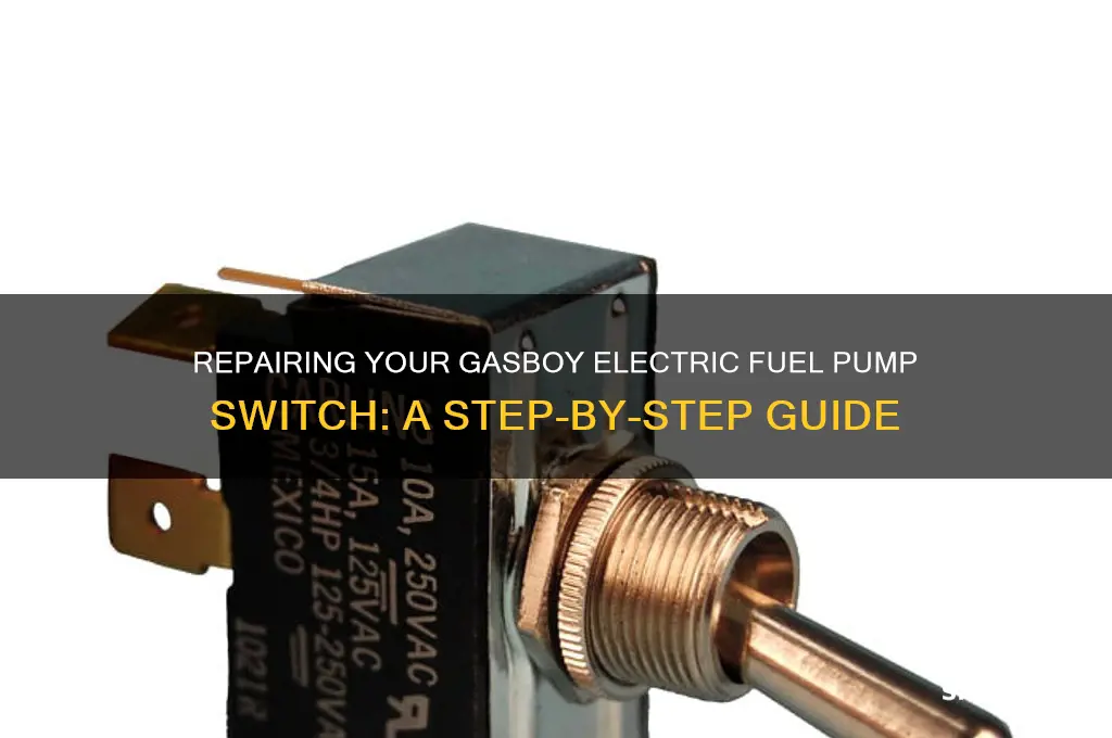 how do i repair gas boy electric fuel pump switch
