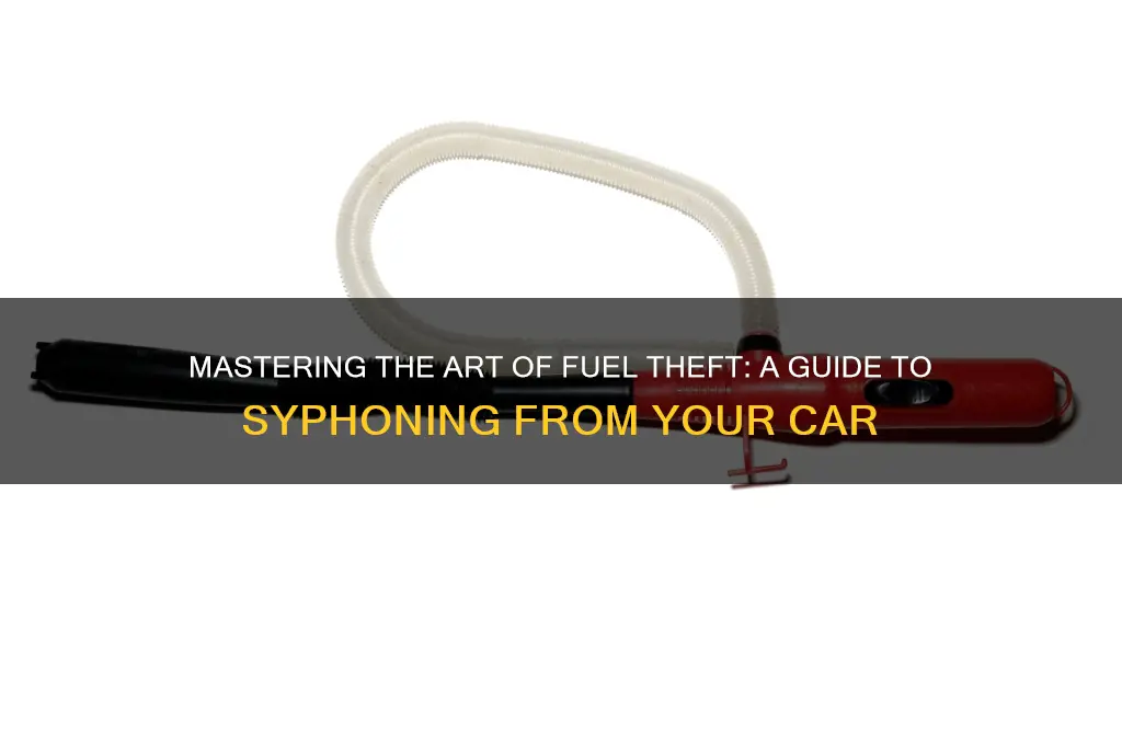 how do i syphon fuel from my car