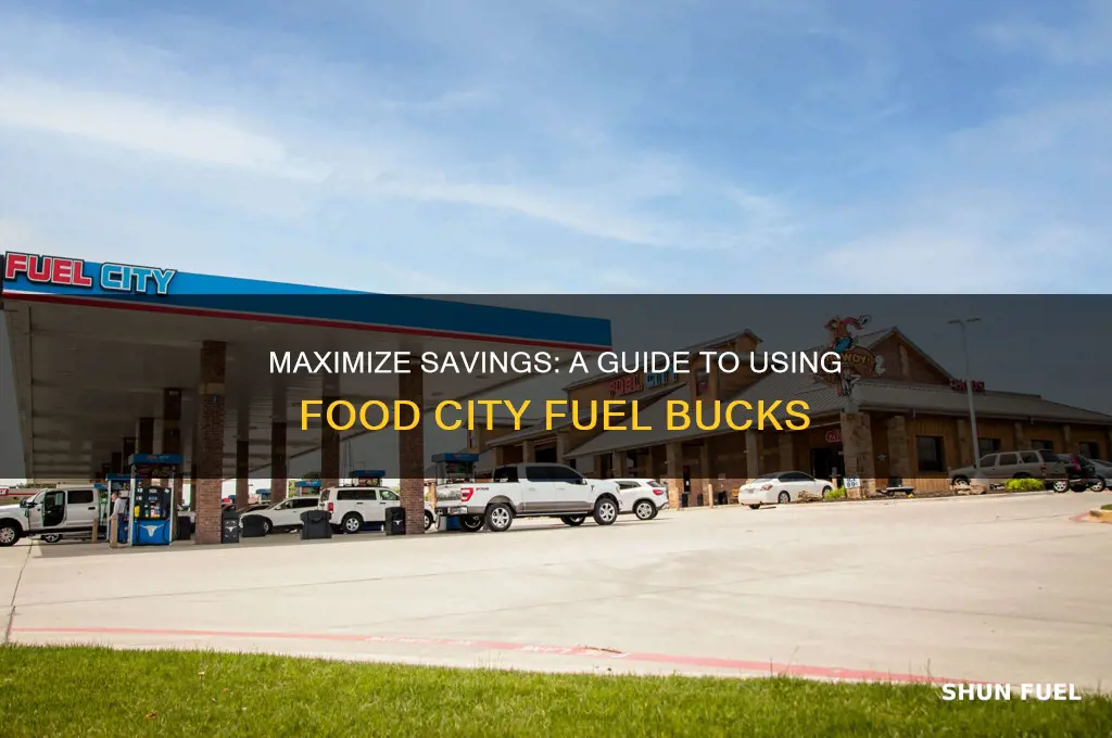 how do i use food city fuel bucks