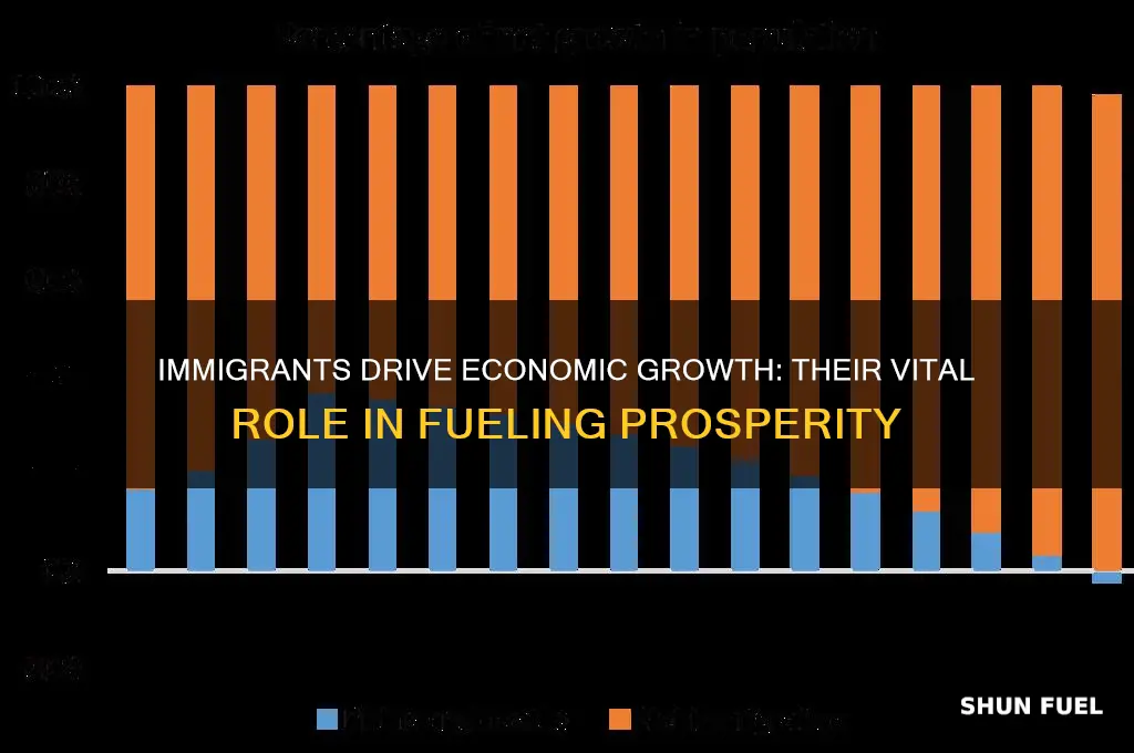 how do immigrants fuel economy