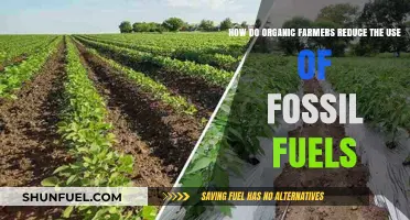 Organic Farmers: Reducing Fossil Fuel Reliance