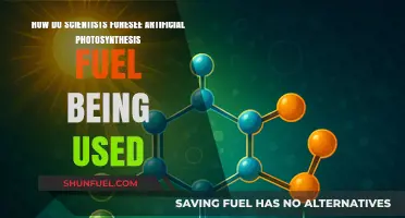 Artificial Photosynthesis: Scientists Predict Future Fuel Applications and Impact