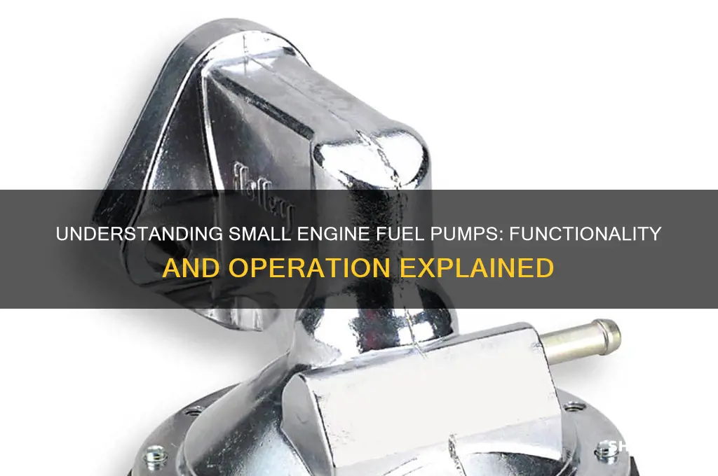 how do small engine fuel pumps work