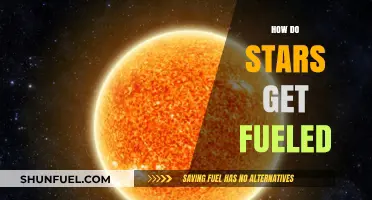 The Cosmic Furnace: Unveiling the Fuel Behind Star Power