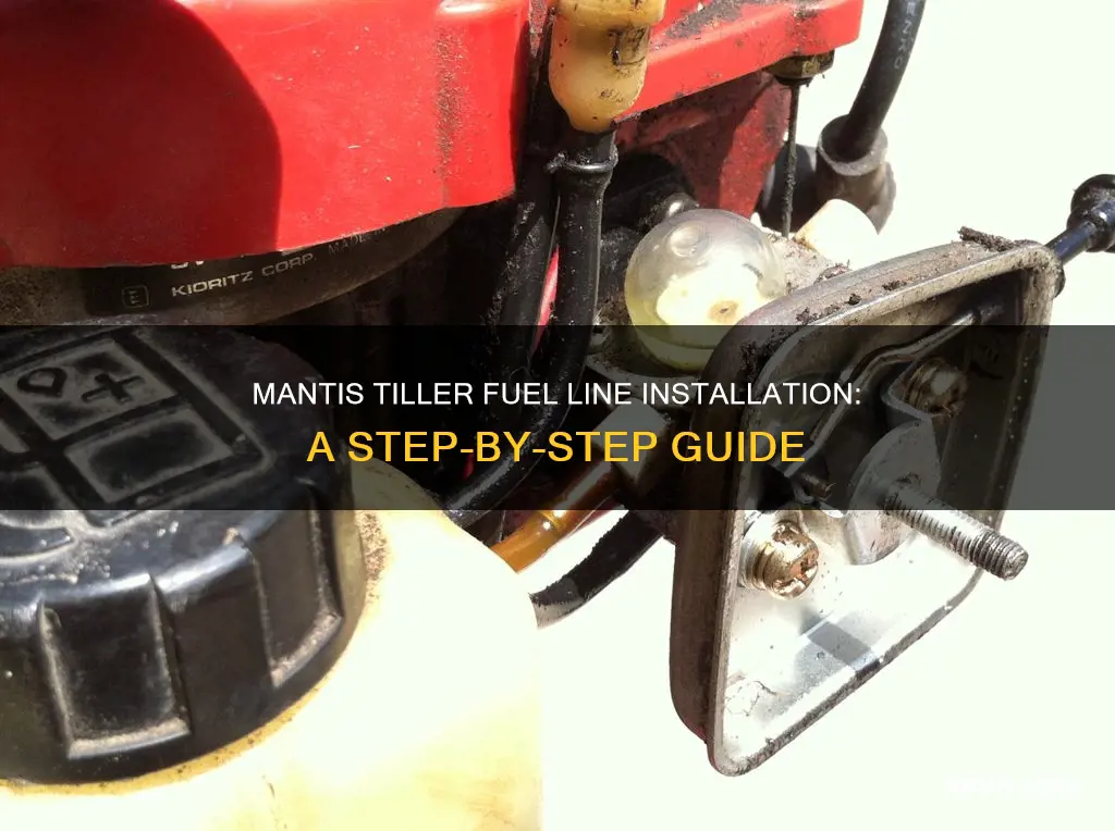 how do the fuel lines go on a mantis tiller